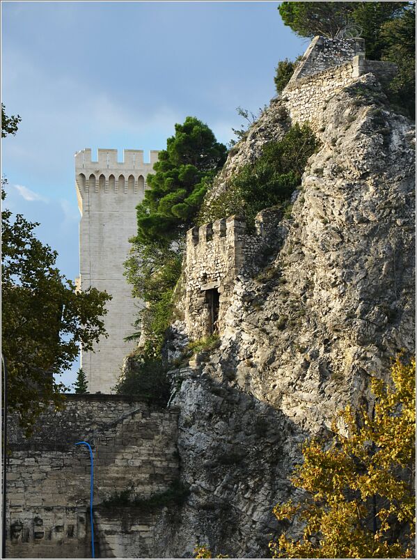 Avignon Castle